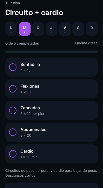 Rutina del día con los ejercicios para marcar